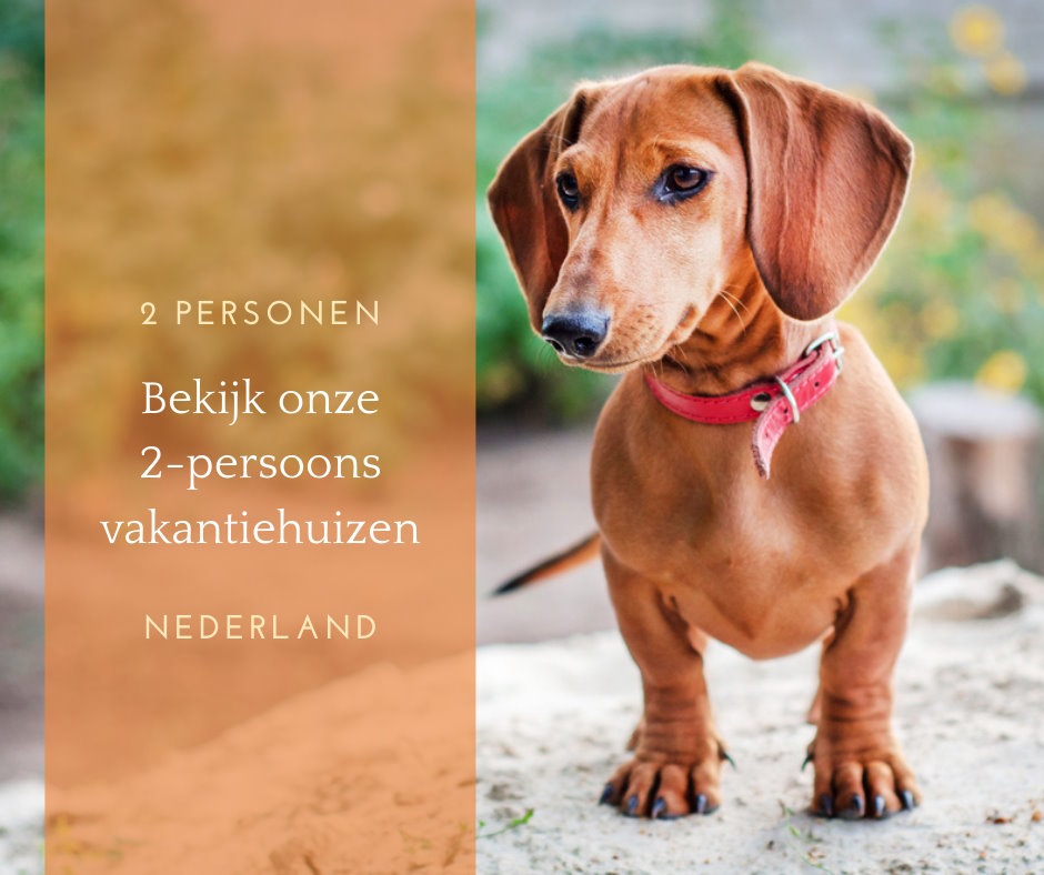 vakantie met 2 personen en hond