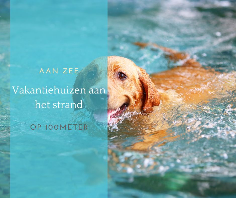 Vakantiehuis aan zee met hond