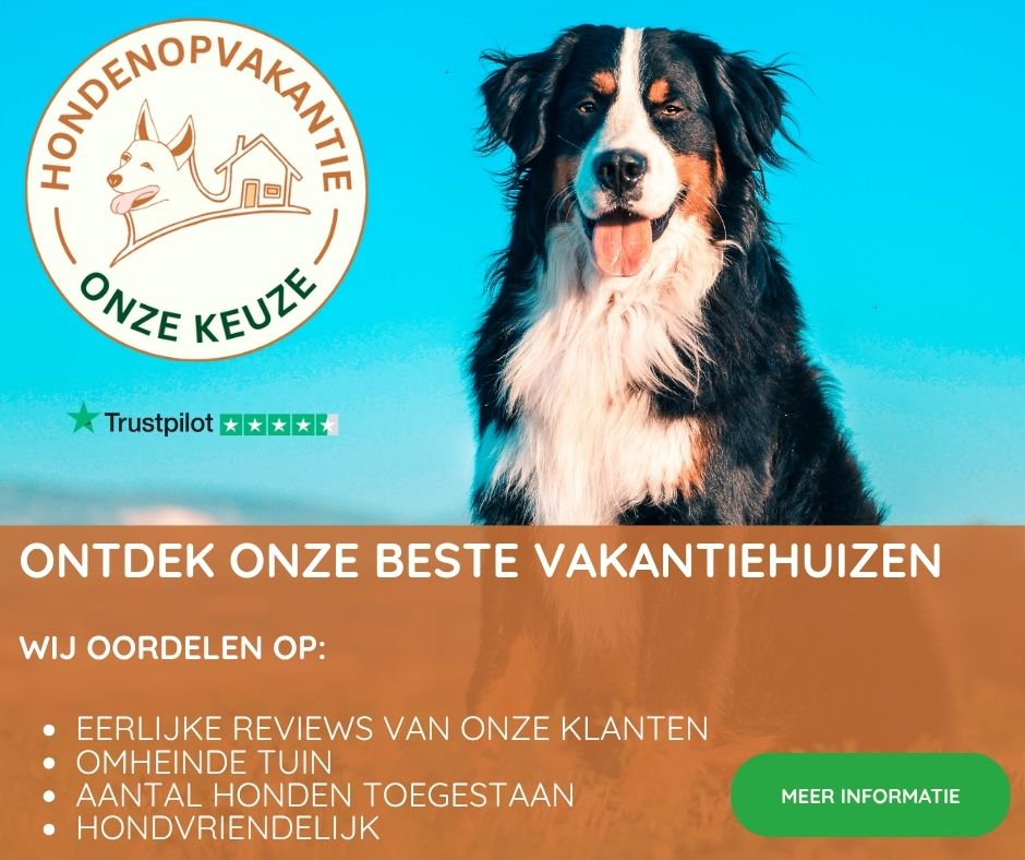 Beste keuze: ons keurmerk Hondenopvakantie