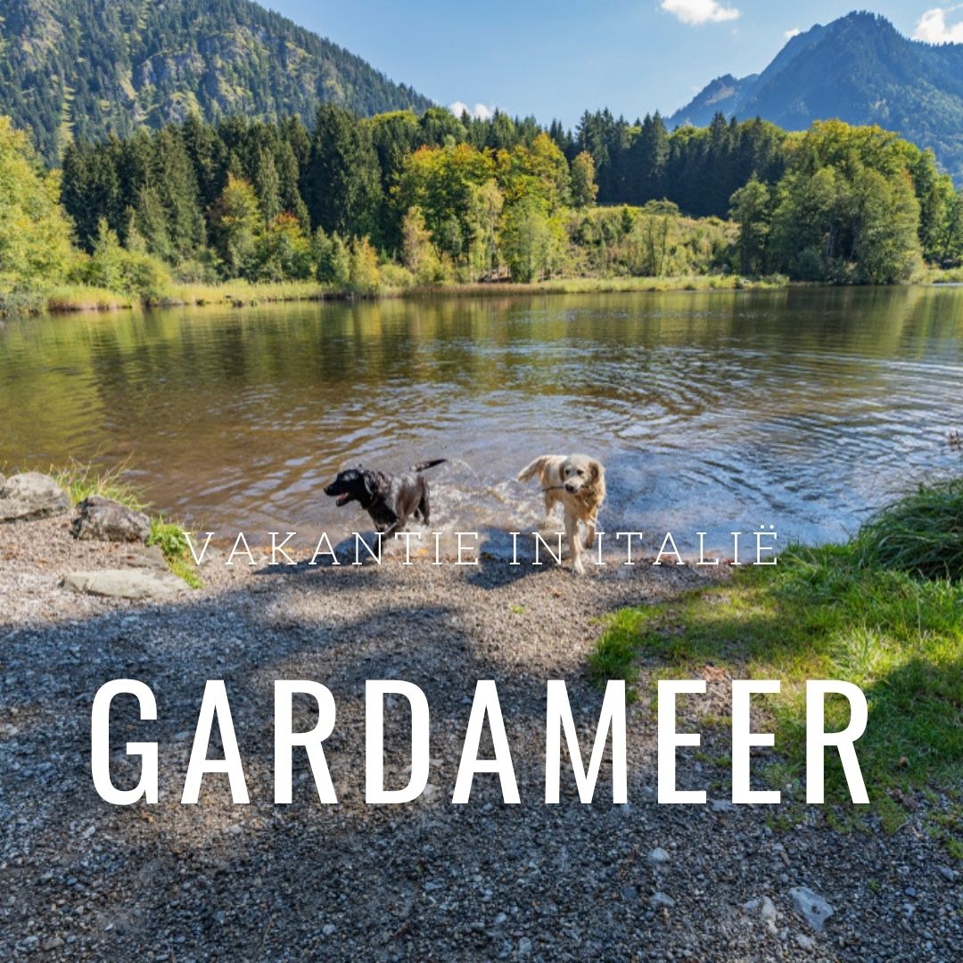 Vakantiehuis Gardameer met hond