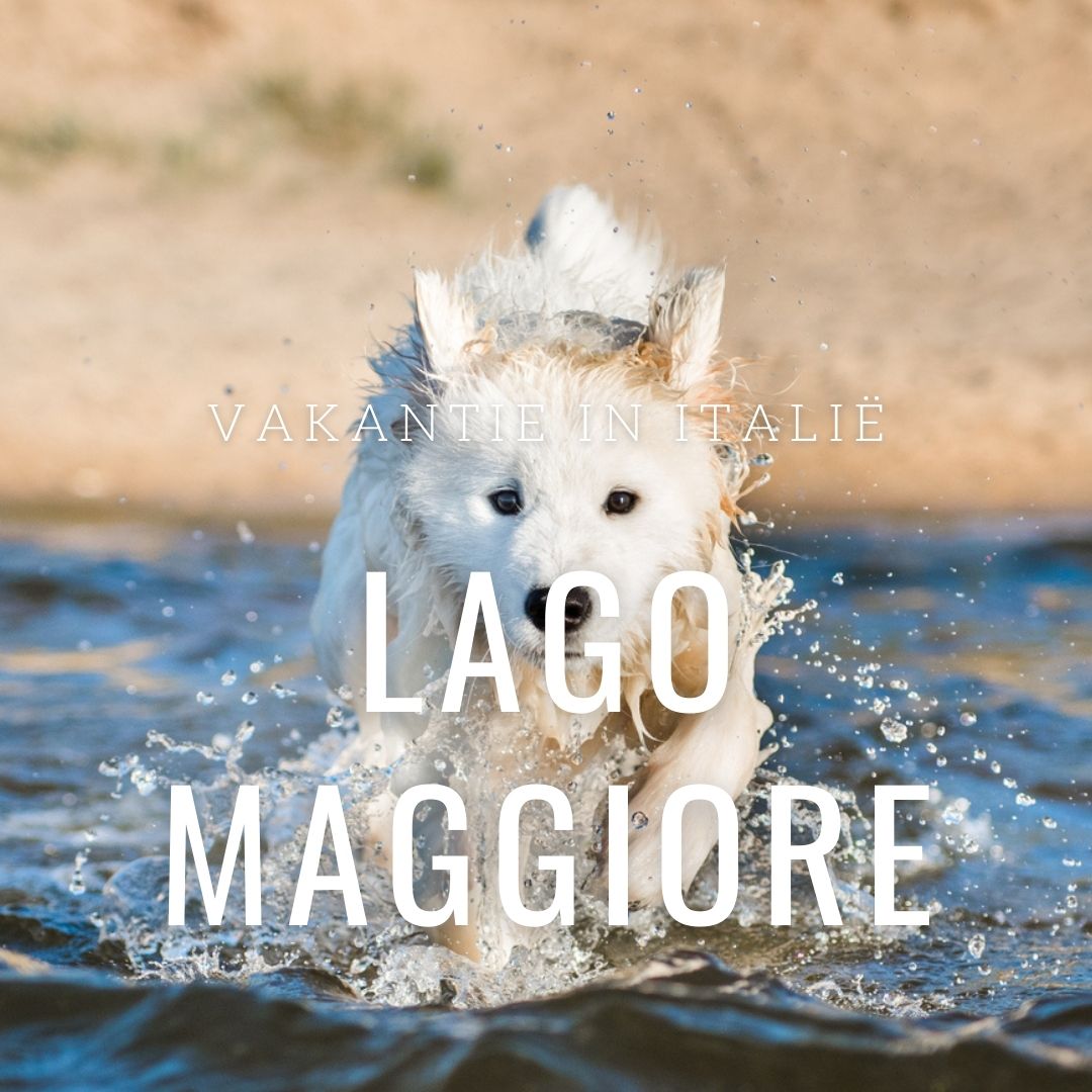 Vakantie Met Hond Italië – Honden Welkom | Hondenopvakantie.Nl