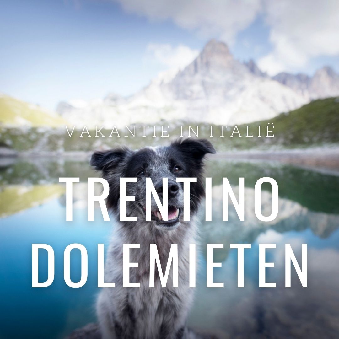 vakantiehuis met hond in Picardië