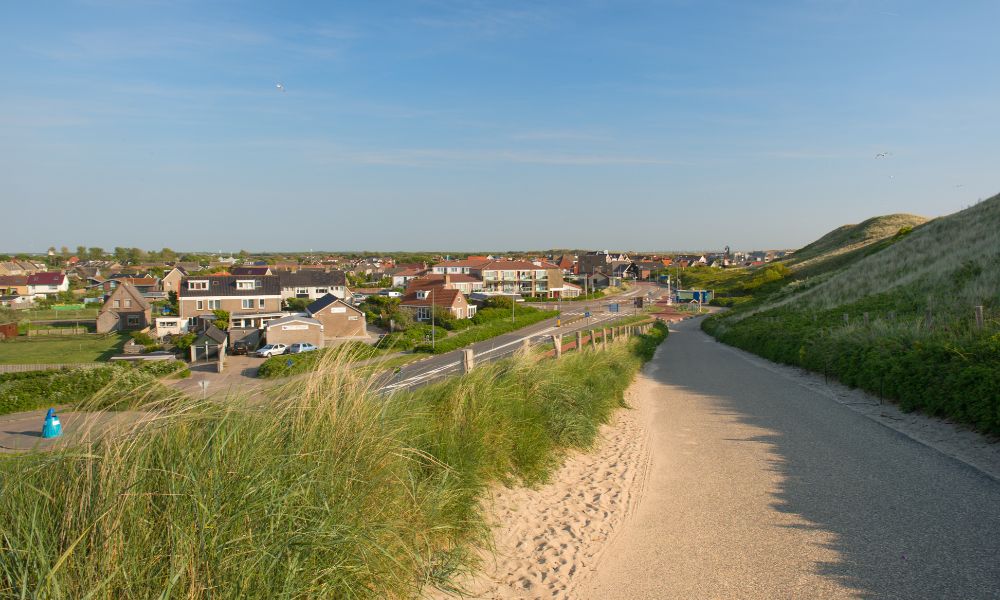 Tips voor een vakantie met uw hond in Callantsoog