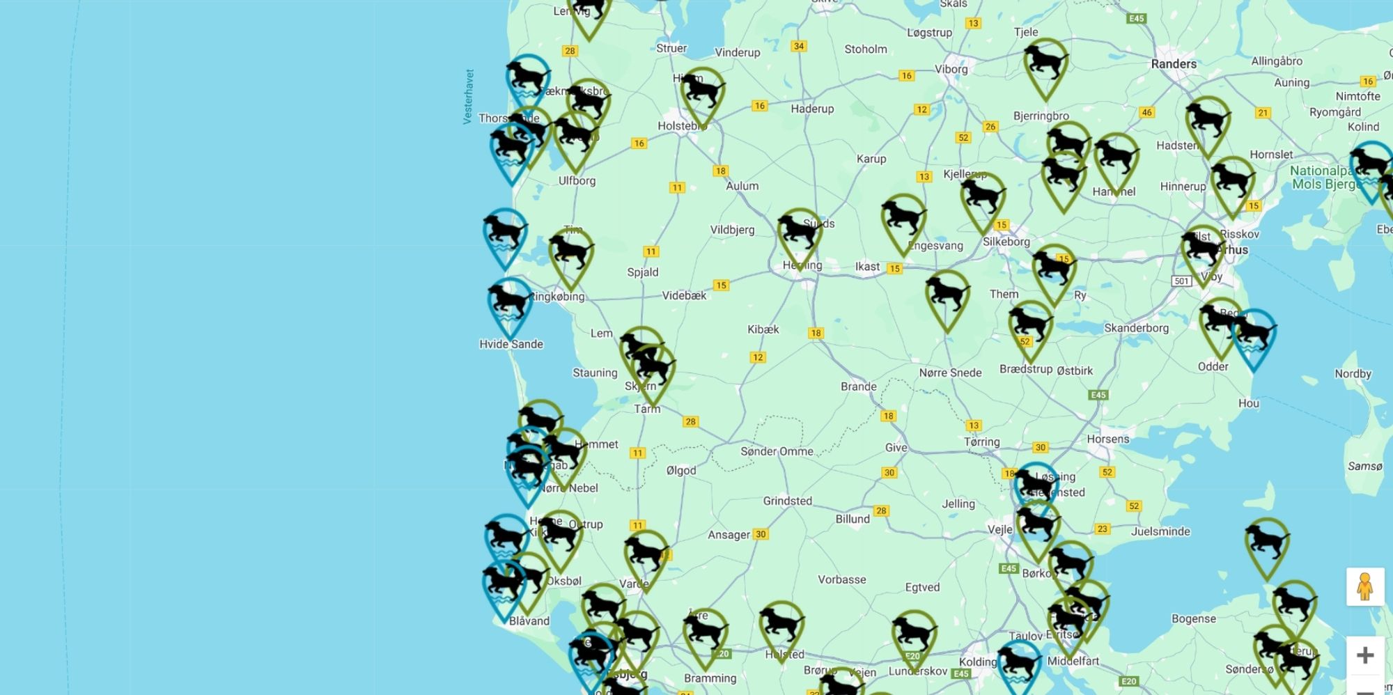 Hvide Sande met hond – onze tips