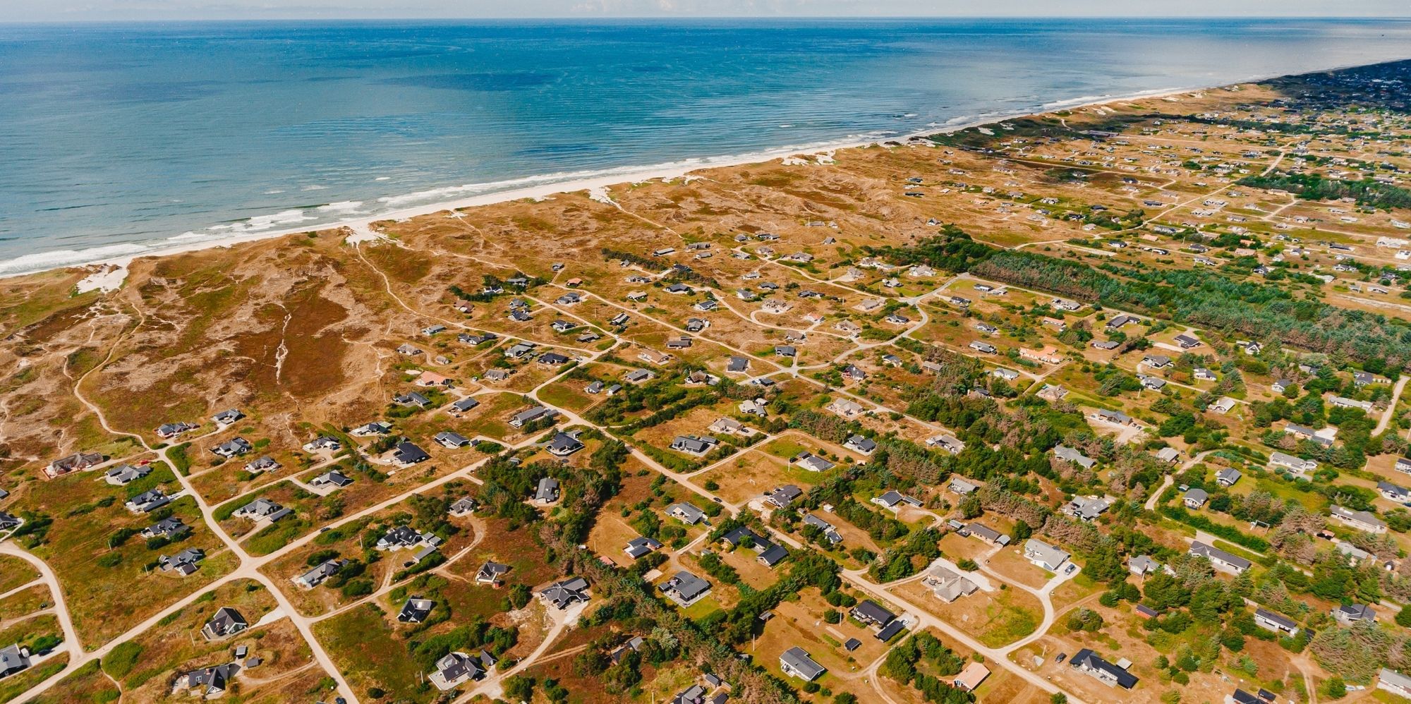 Hvide Sande met hond