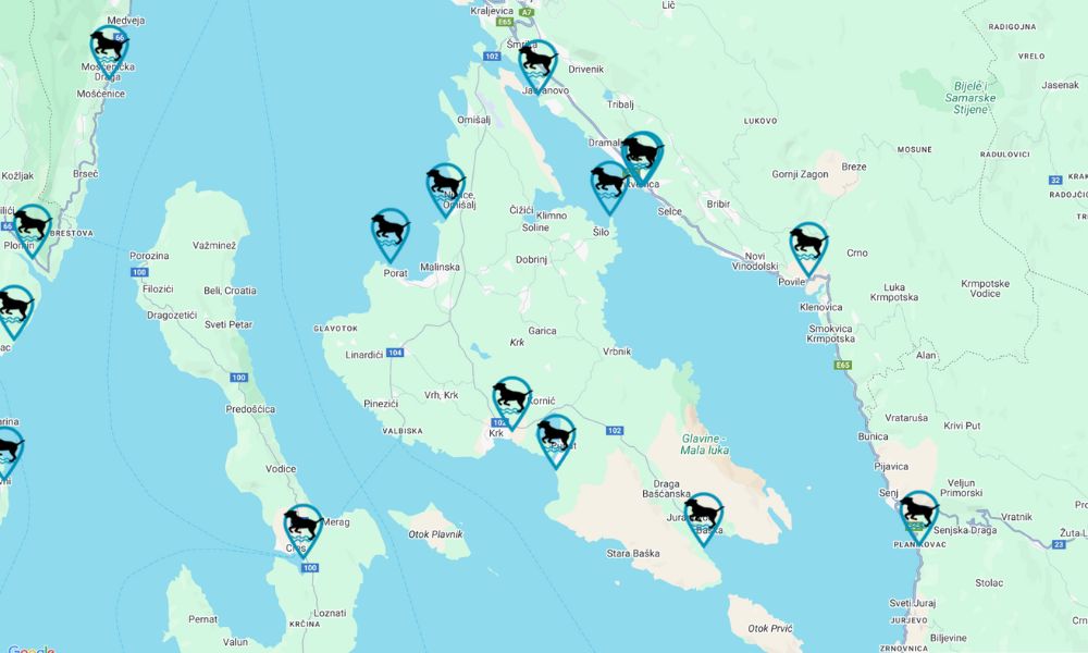 Tips voor een vakantie op het eiland Krk met uw hond