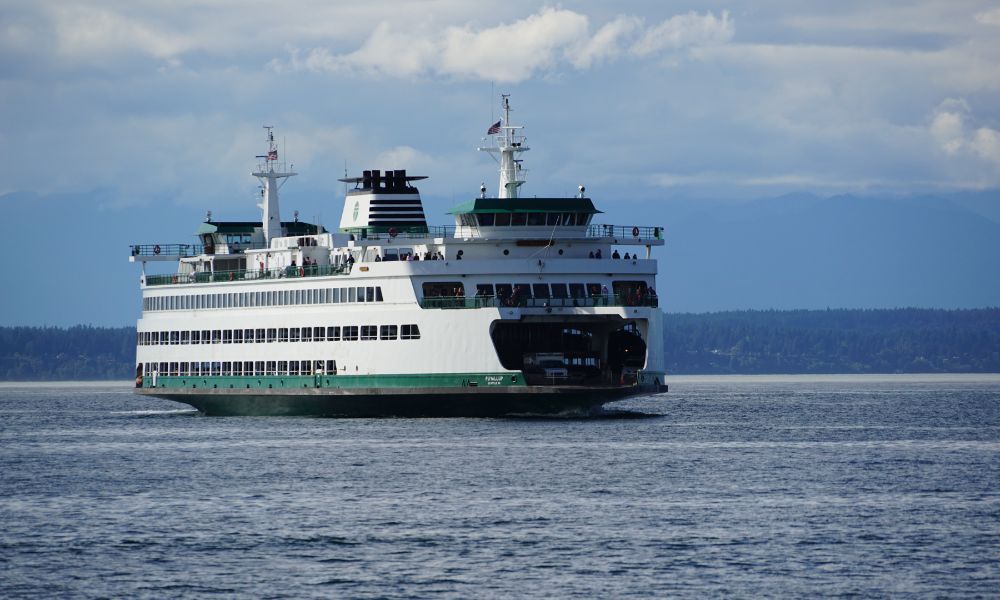 Zweden met een hond: dit is wat u moet weten