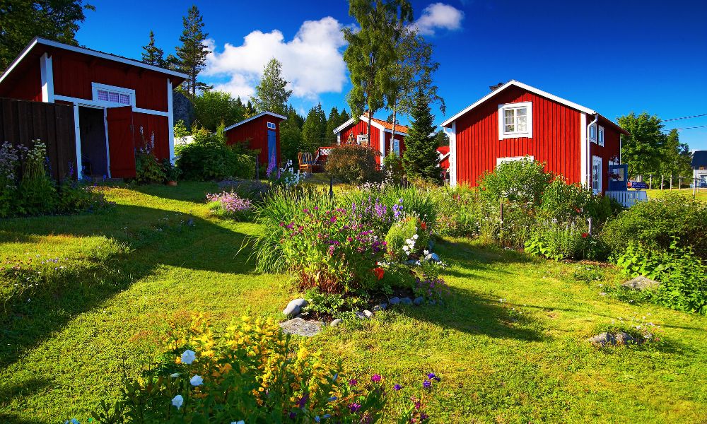 Met je hond naar Småland