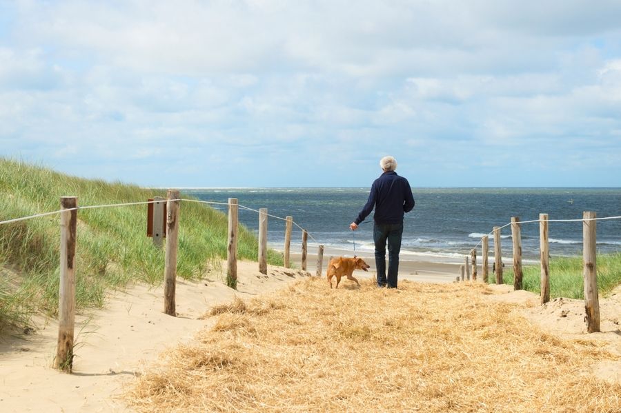 Favoriete reisbestemming met hond: Texel