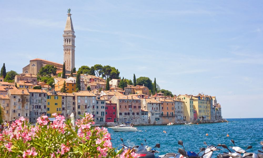 Rovinj met hond