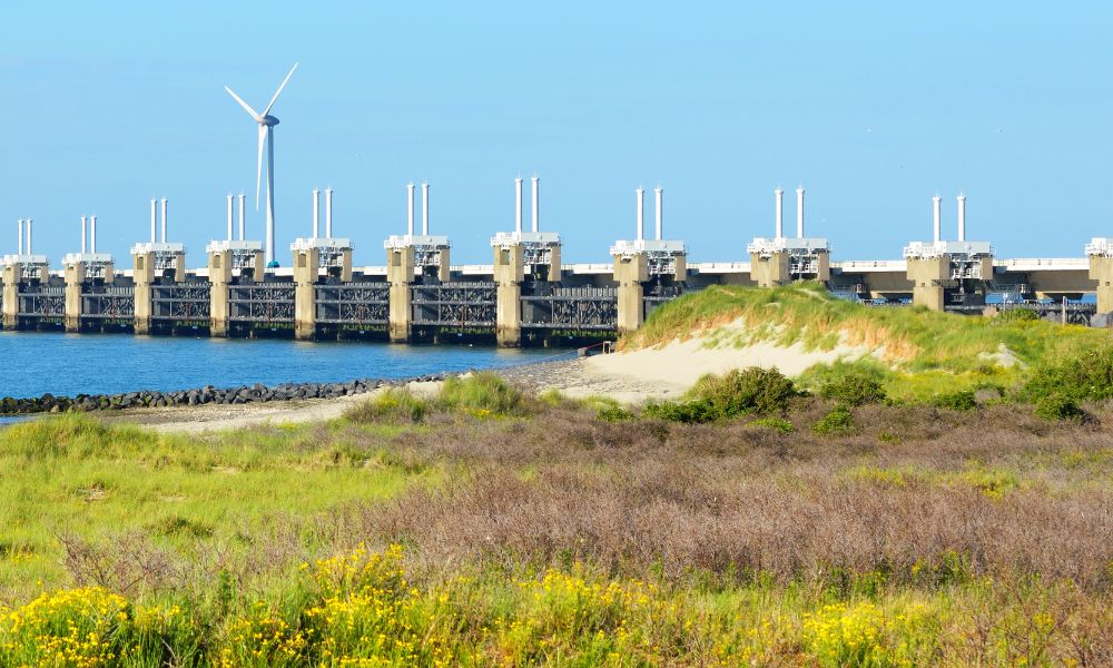 Neeltje Jans Zeeland met hond