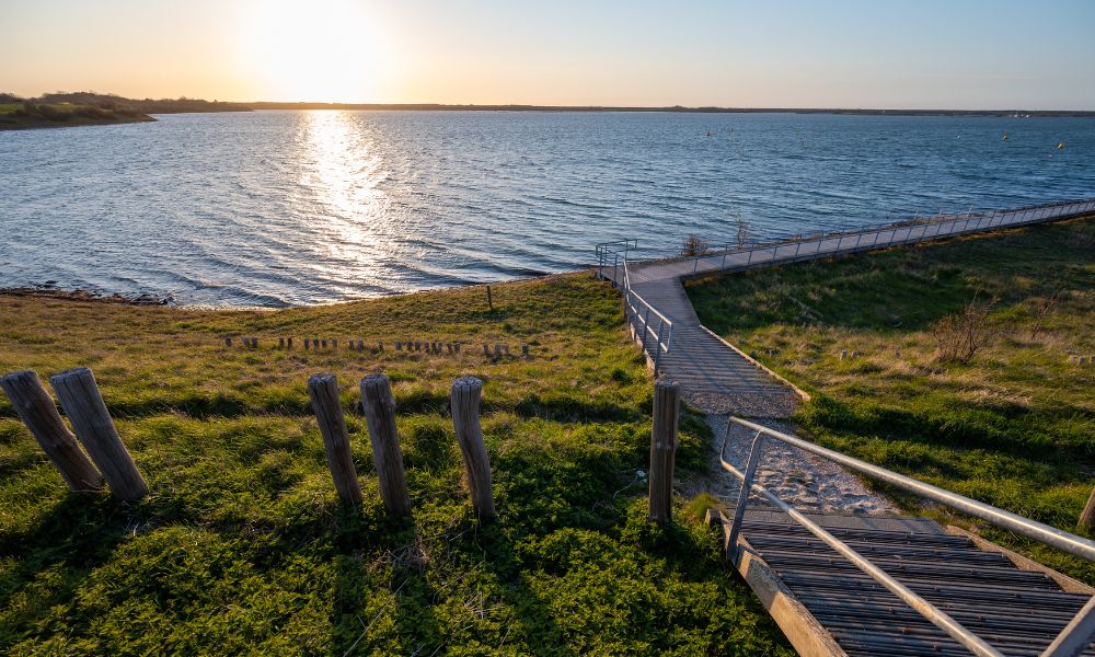 Grevelingenmeer met hond
