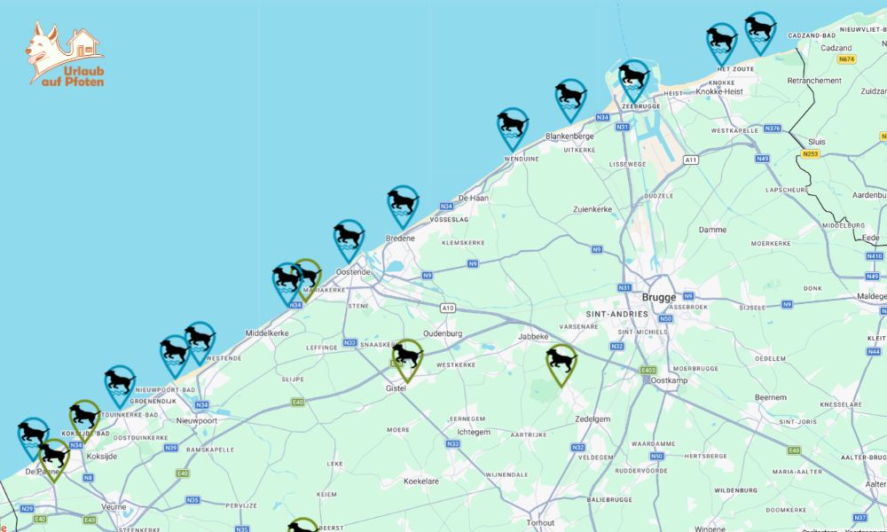 Hondenstranden aan de Belgische kust