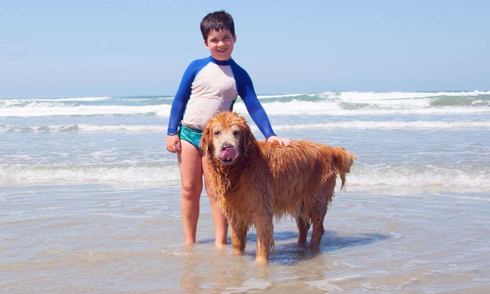 Vakantie met hond en kind aan zee