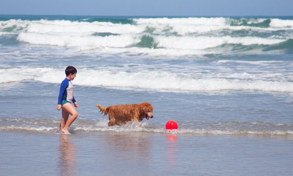 Strandvakantie aan zee met hond en kind