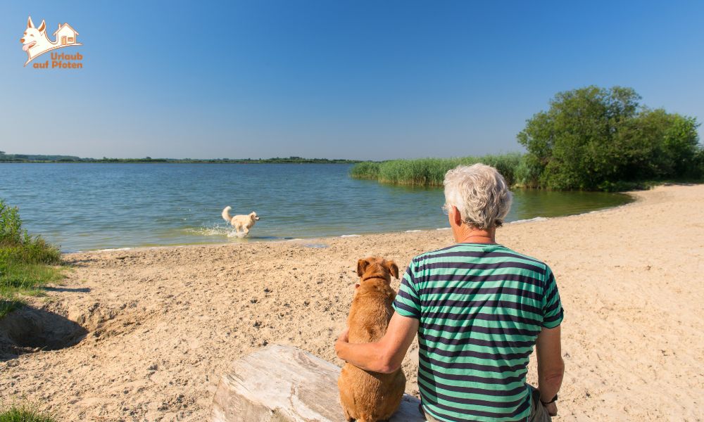 Vakantie met je hond aan het Veluwemeer - strandgevoel midden in Nederland