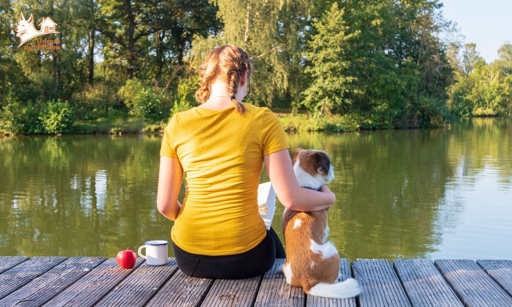 Hondenstrand Veluwemeer