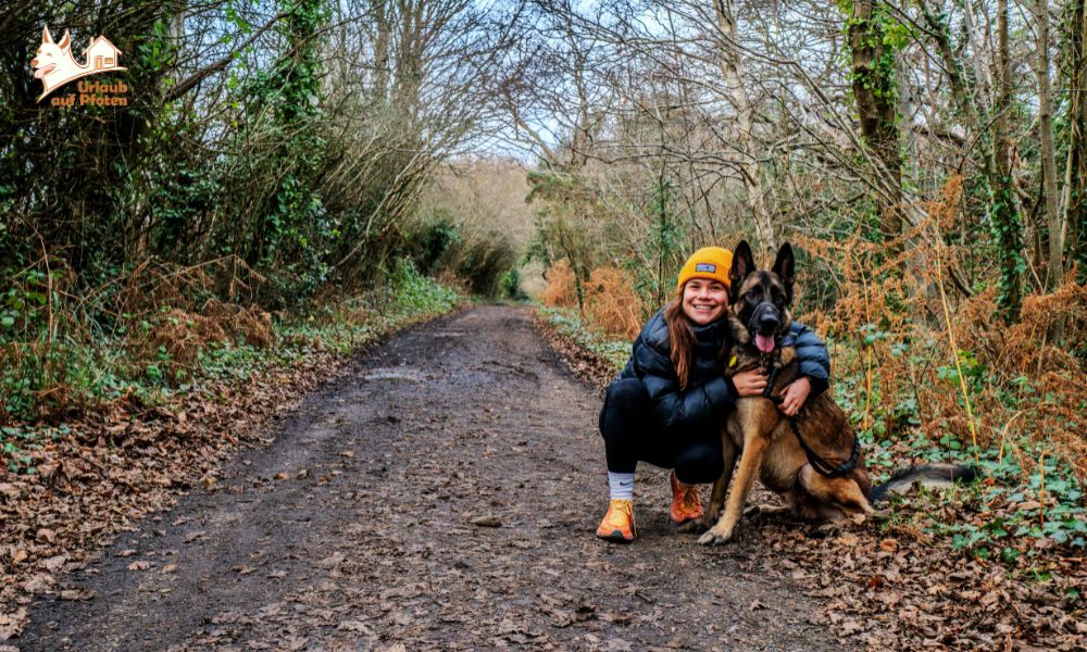 Vakantie met hond in de Ardennen