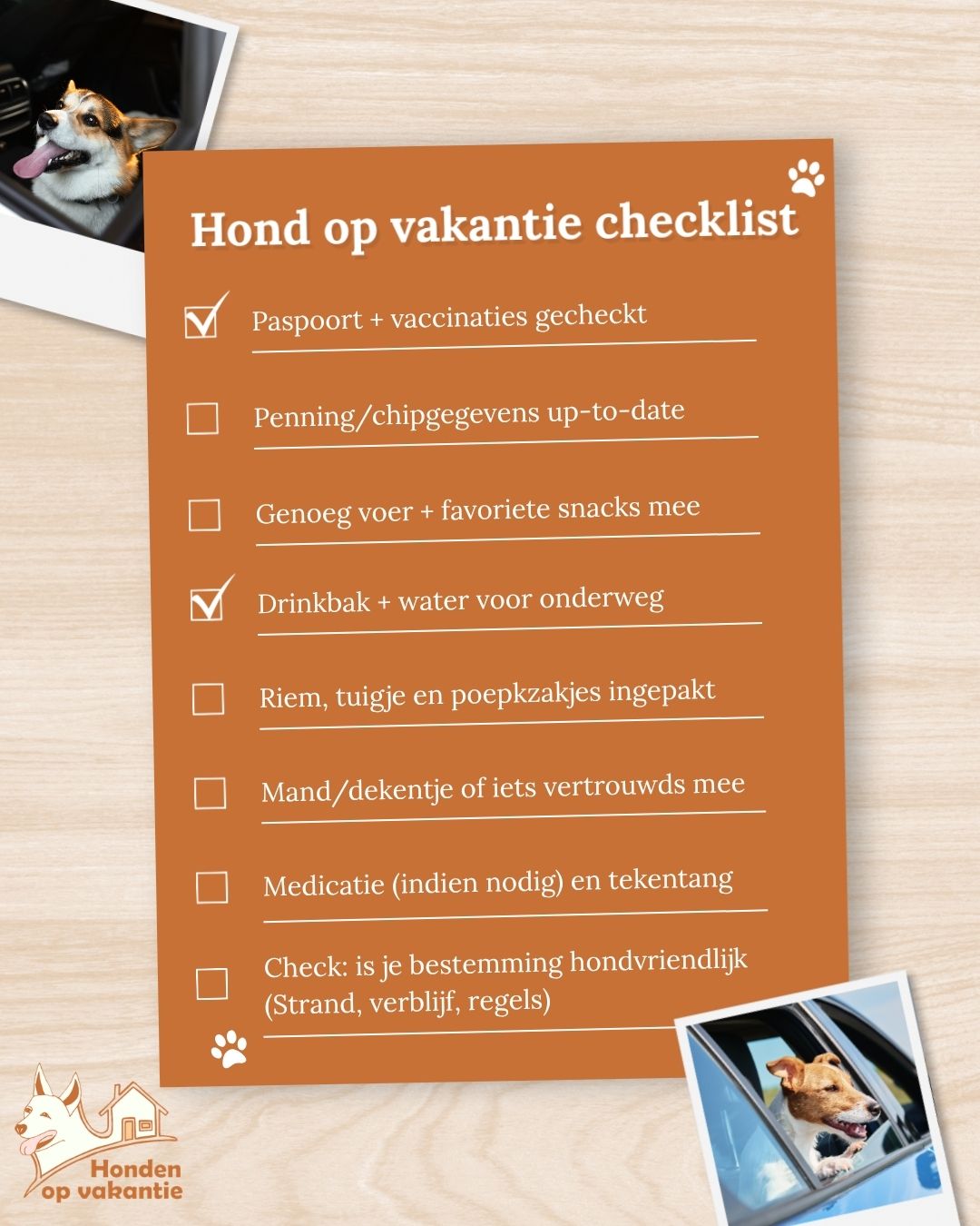 Checklist hond mee in de auto op vakantie