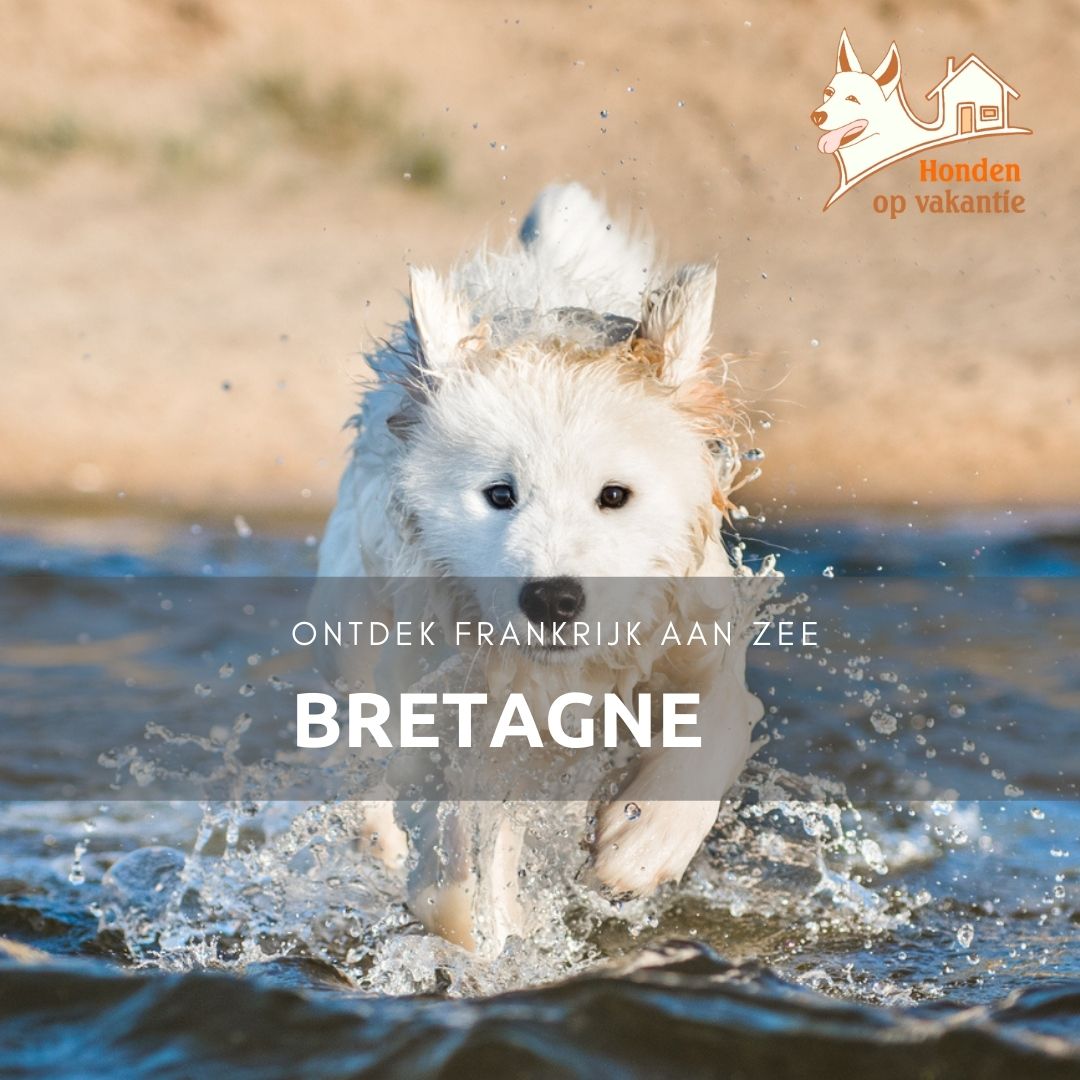 Op vakantie met hond in Bretagne