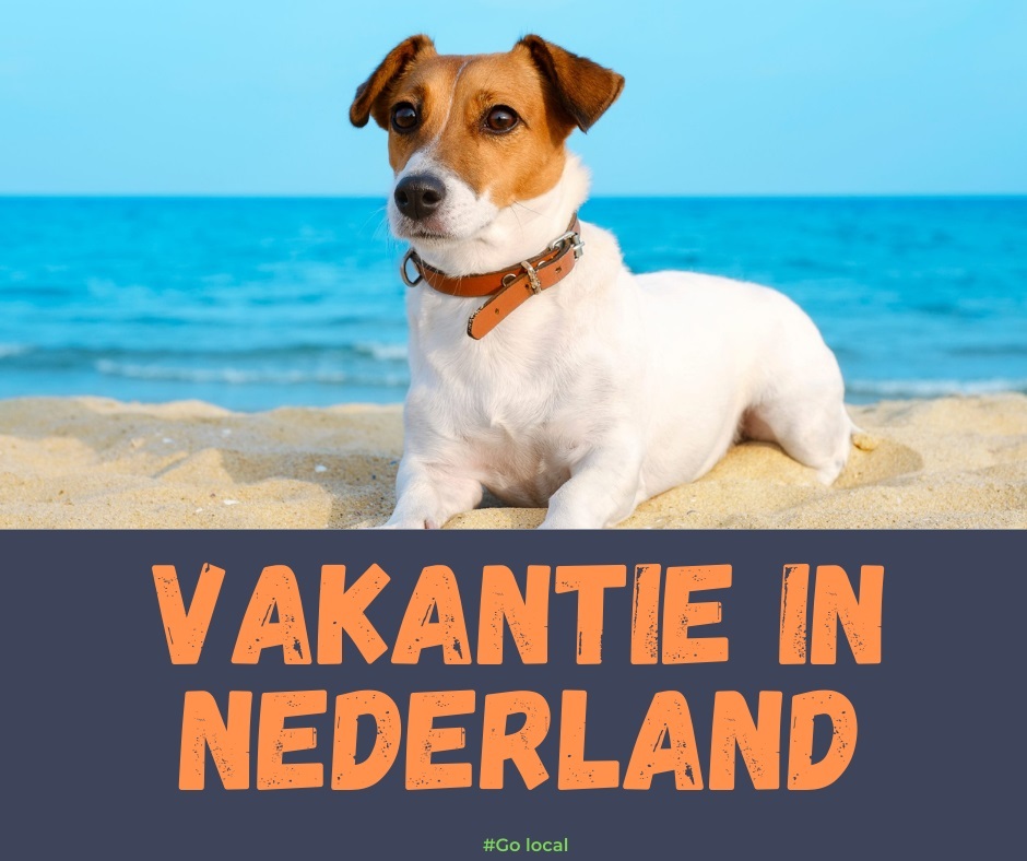 vakantieparken inNederland honden toegestaan