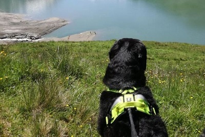 Losloopgebieden in Flevoland