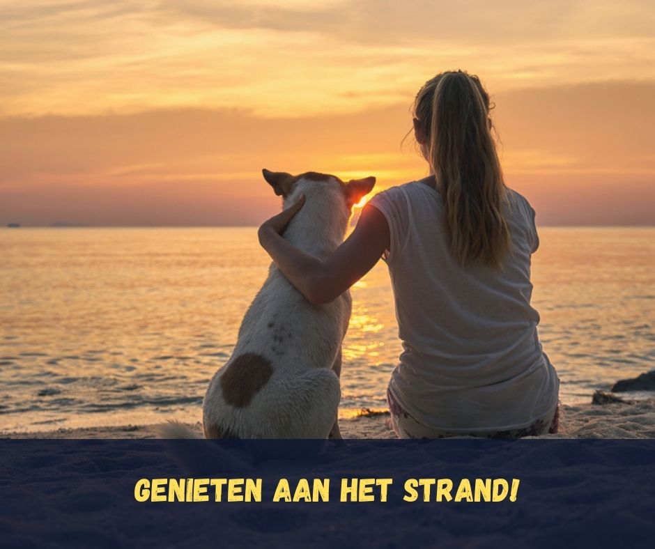 Italië aan zee met hond