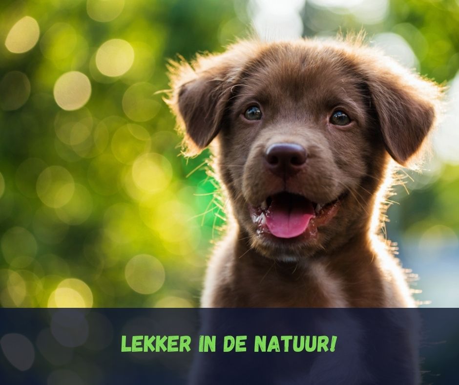 In de natuur Italië