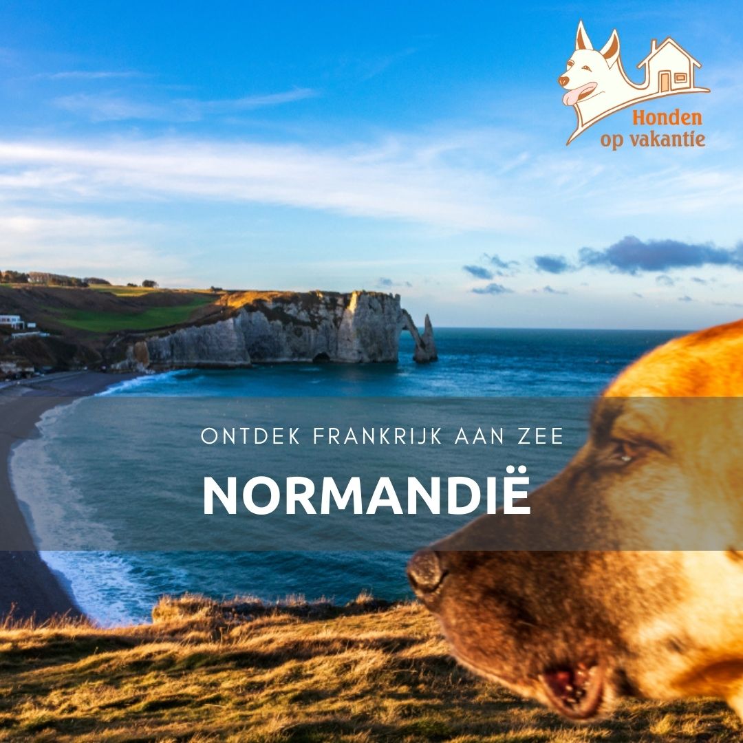 Vakantiehuis met hond in Normandië