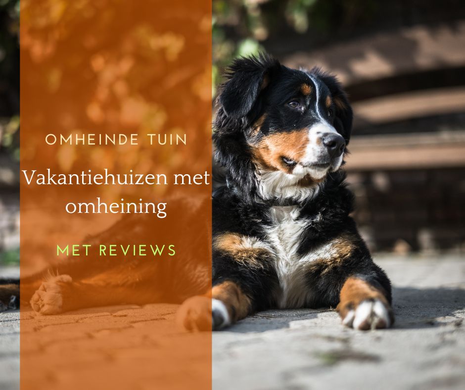 Vakantiehuis omheinde tuin met hond