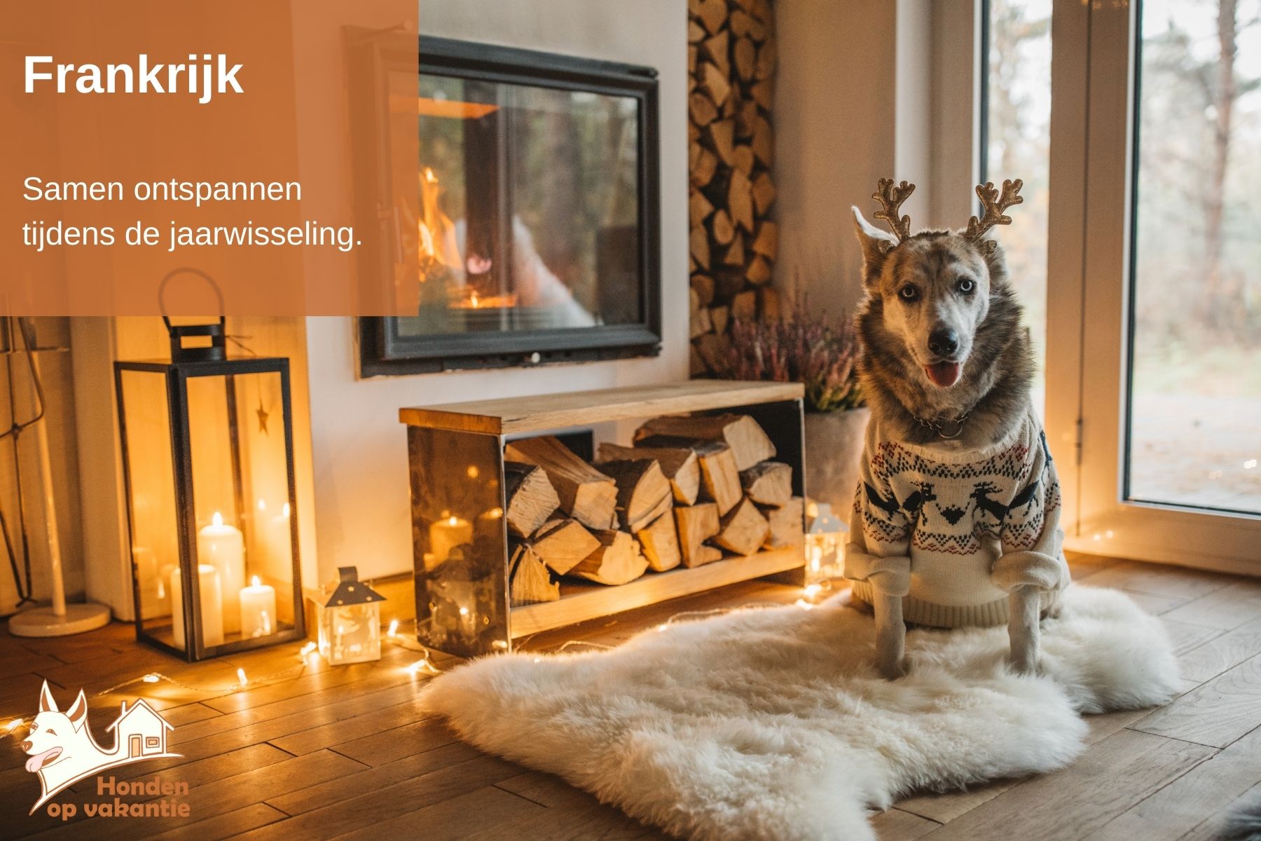 Oud en nieuw met hond in Frankrijk