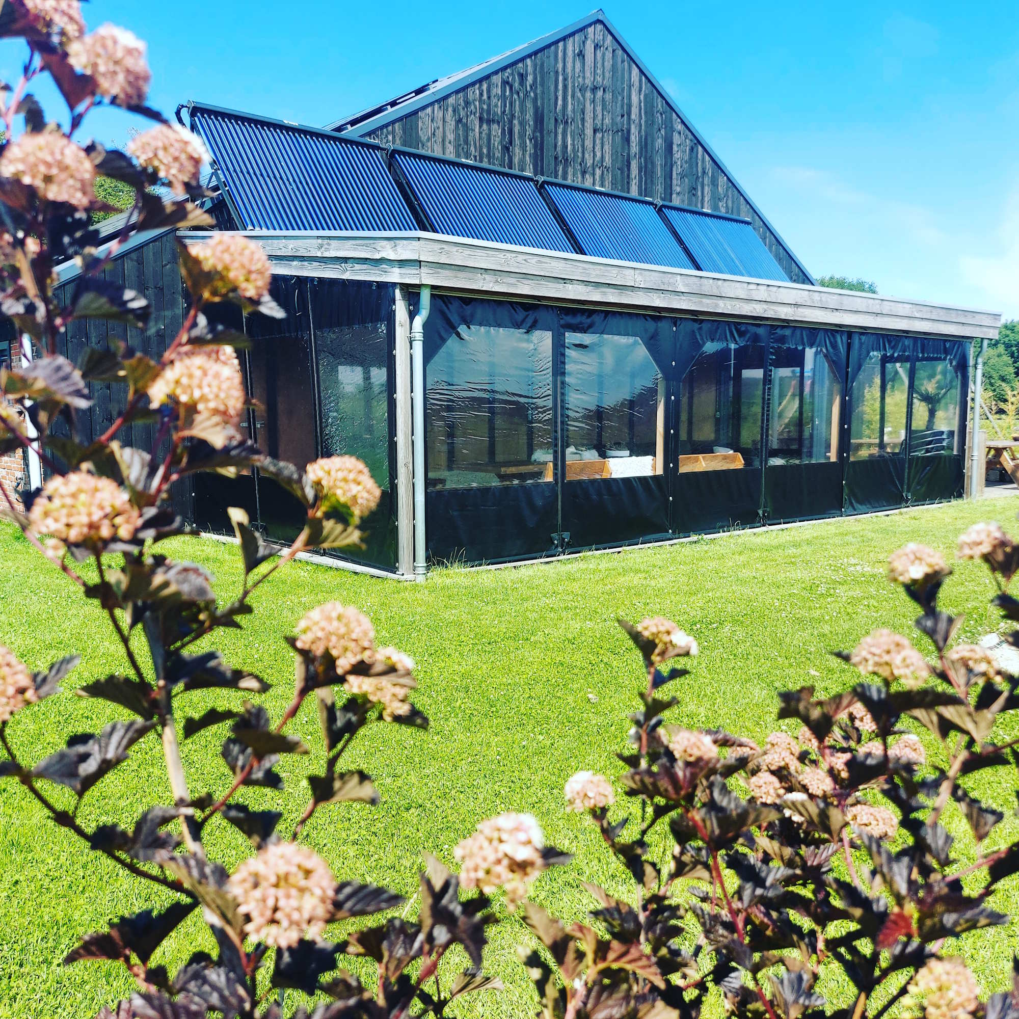 Vakantiehuis met omheinde tuin in Emmen (Nederland) 2 honden zijn welkom