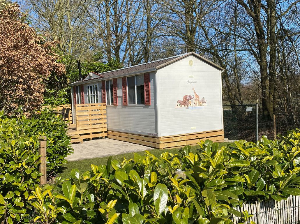 Vakantiehuis met omheinde tuin in Zuidlaarderveen (Nederland) 4 honden zijn welkom