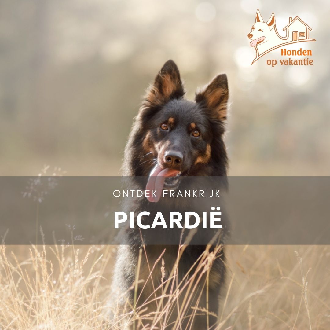 vakantiehuis met hond in Picardië