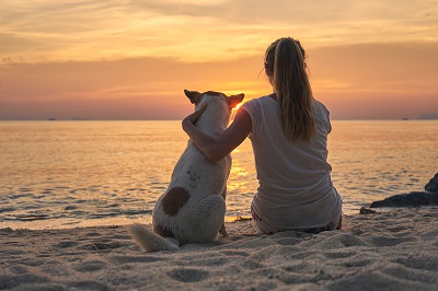 Vakantiehuisje aan hond | hondenopvakantie.nl