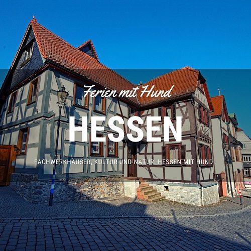 vakantiehuis met hond in Hessen