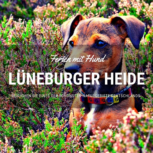 vakantiehuis met hond in de Lüneburger Heide