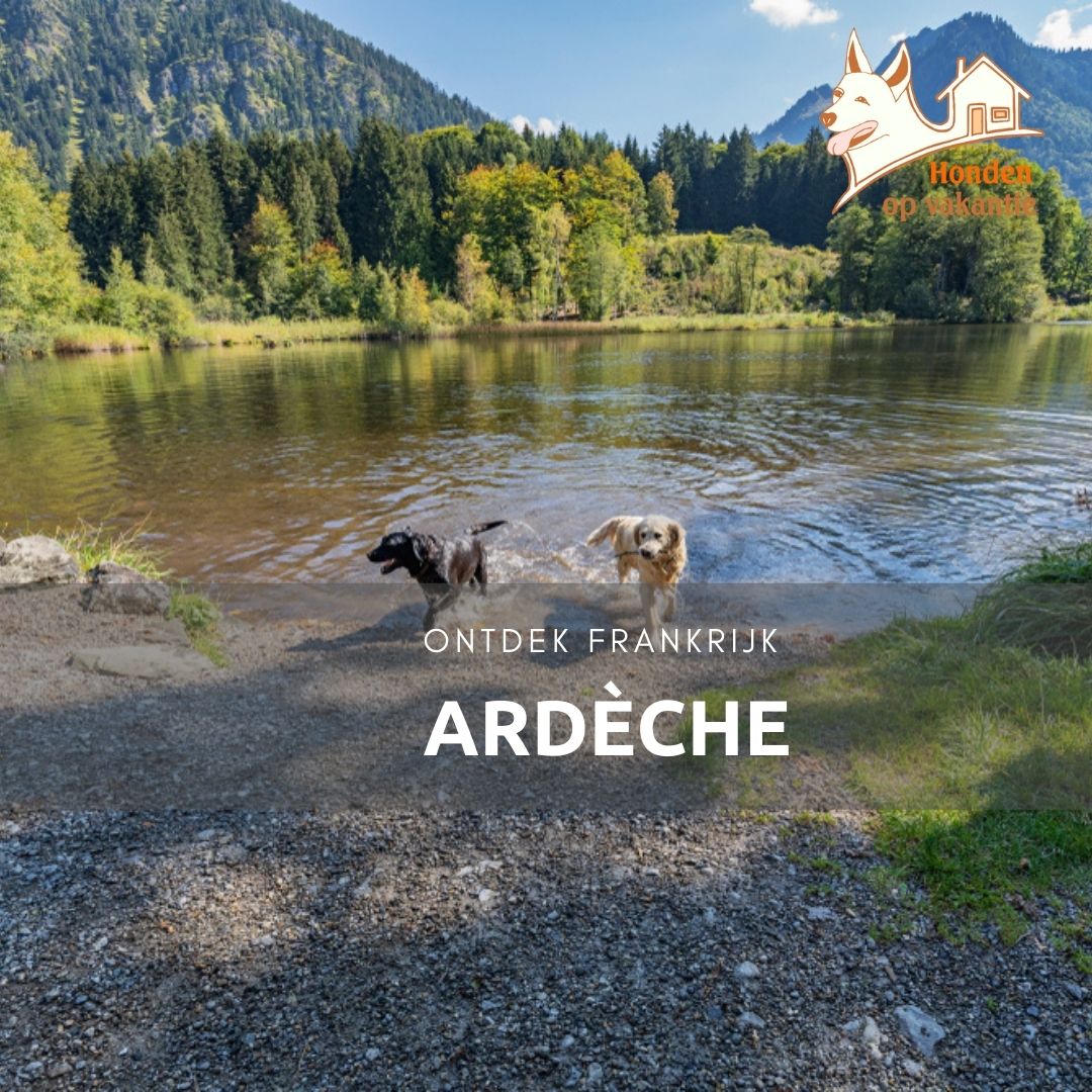 Vakantiehuis met hond in de Ardèche