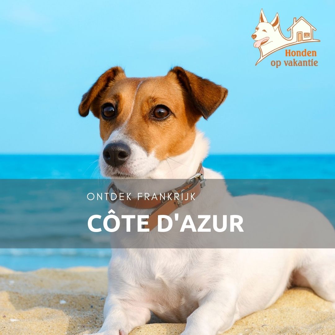 Vakantiehuis met hond in de Provence en Côte d'Azur