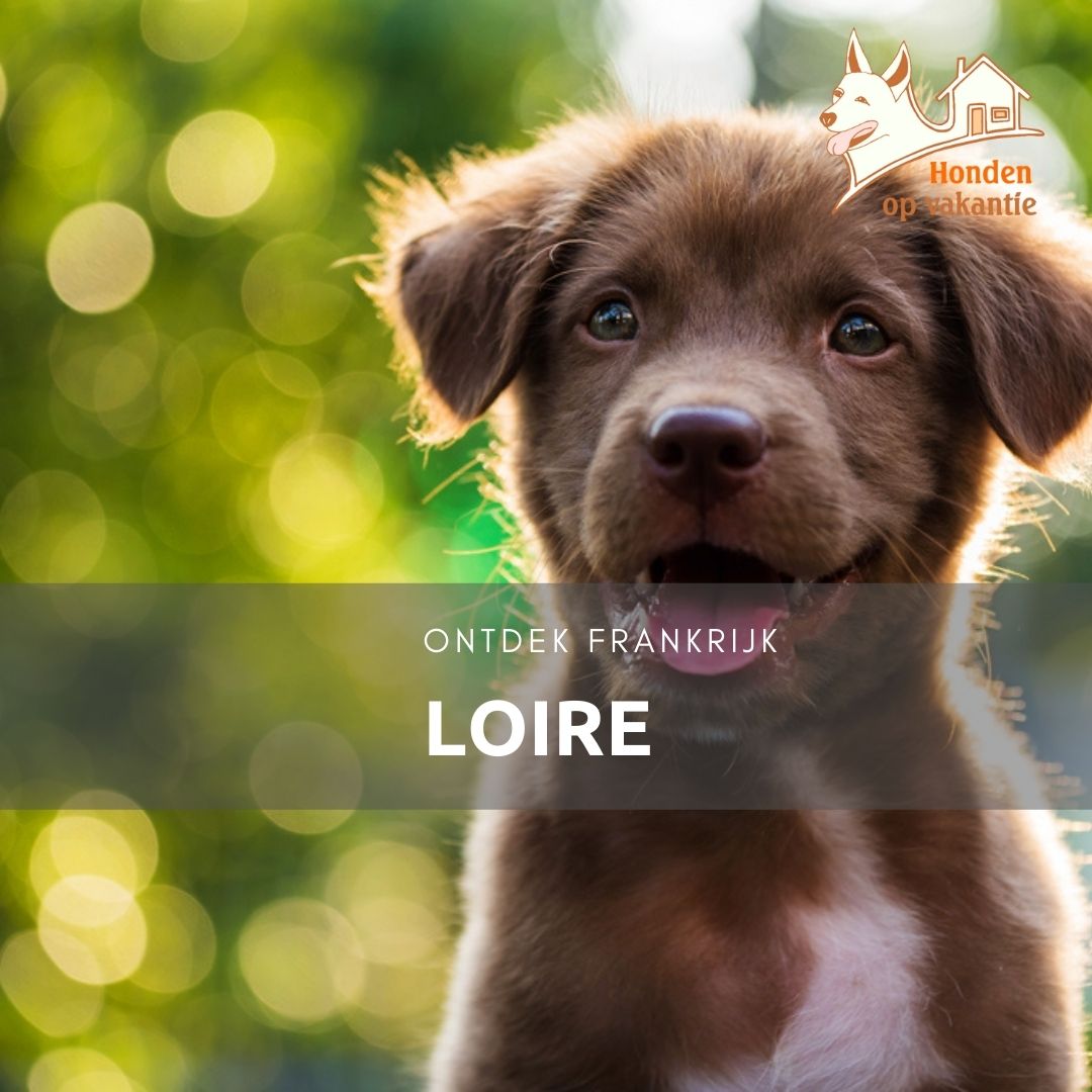 vakantiehuis met hond Loire