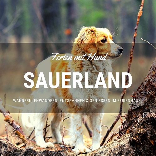 vakantiehuis met hond in het Sauerland