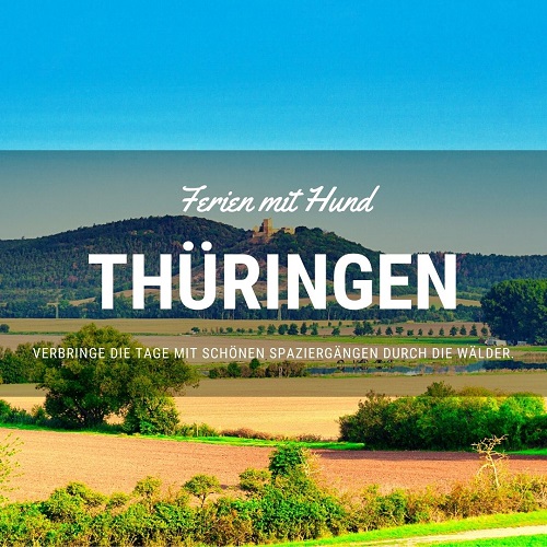 vakantiehuis met hond in Thüringen